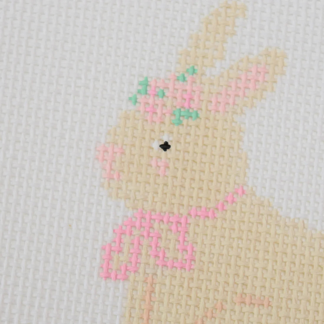 Floral Bunny Canvas
